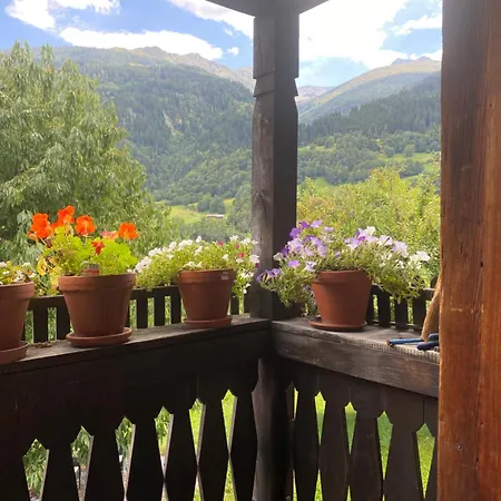 Casa Vegana 4,5 8pl, 3 Badezimmer *